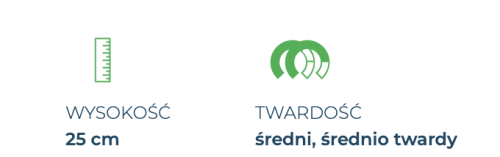 Materac Magnicool 10 Firm