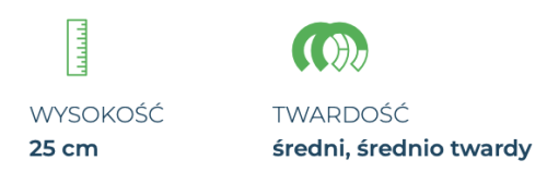 Materac Dolce Vita Dual 10