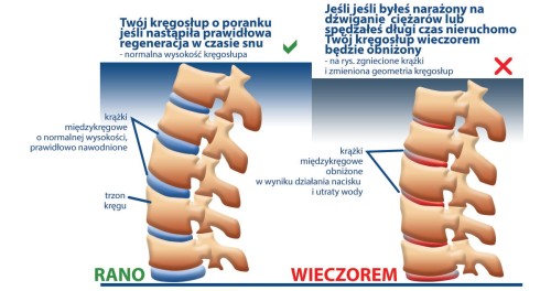 Materac Magnistretch 10